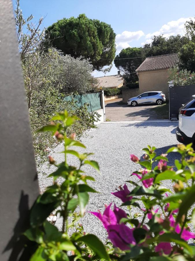 Chez Monique Et Remi Otel Avinyon Dış mekan fotoğraf
