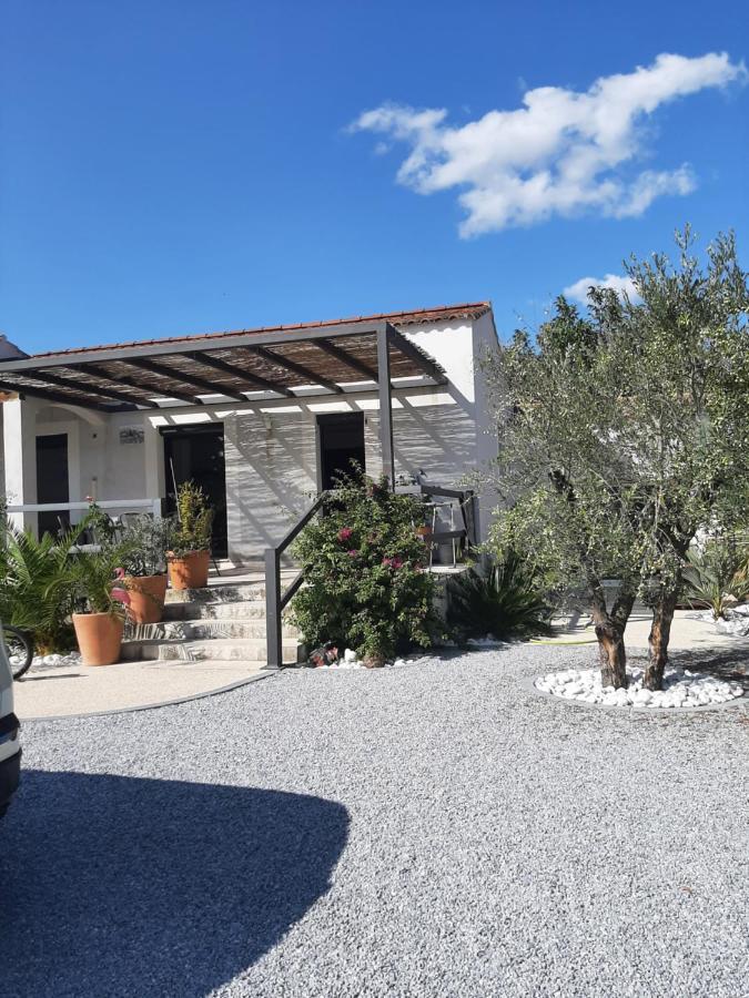 Chez Monique Et Remi Otel Avinyon Dış mekan fotoğraf