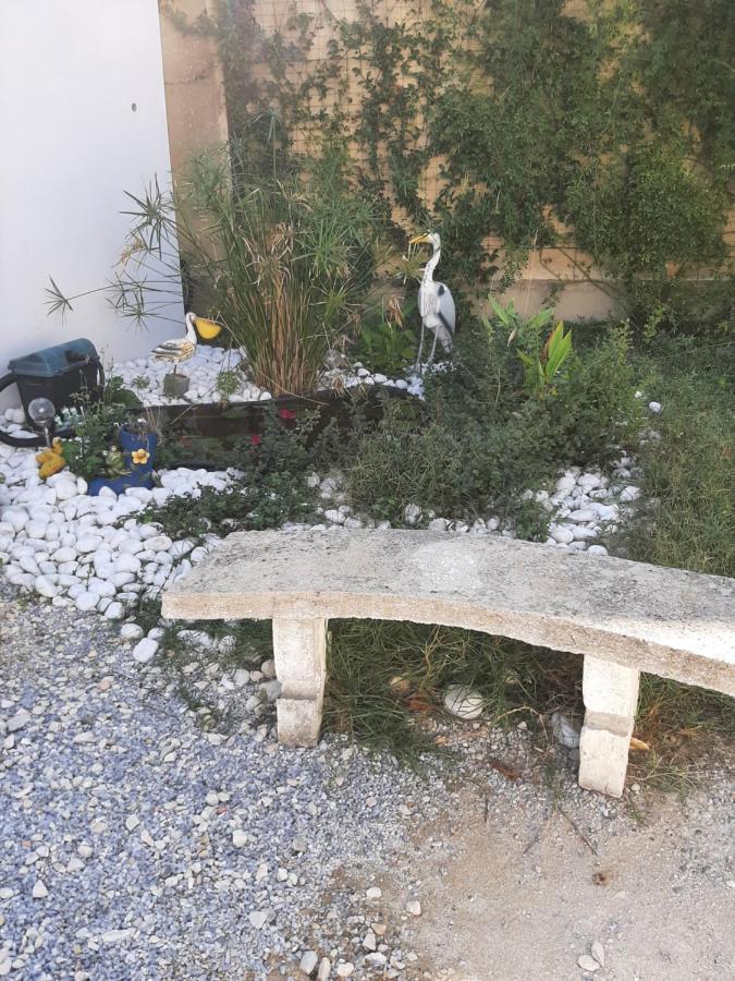 Chez Monique Et Remi Otel Avinyon Dış mekan fotoğraf